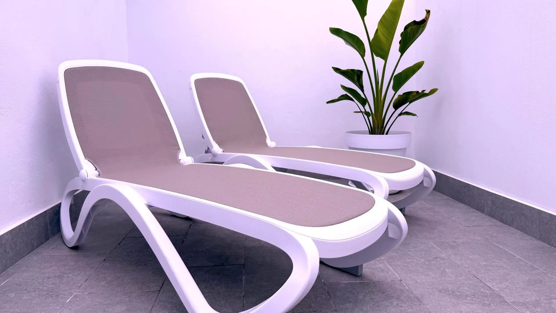 Tropicalidays La Punta Suites Apartment Los Realejos
